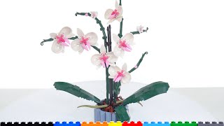 YouTube Thumbnail LEGO Orchid plant set 10311 review! Great parts &amp; techniques, near-perfect execution