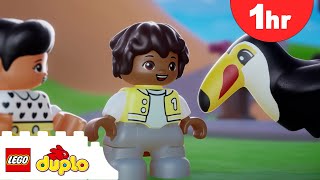 YouTube Thumbnail Animal Habitats Song + More Nursery Rhymes | 1 HOUR OF LEGO DUPLO | Kids Songs | Cartoon for Kids