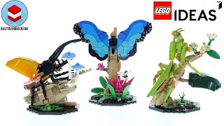 YouTube Thumbnail LEGO Ideas 21342 The Insect Collection Speed Build Review