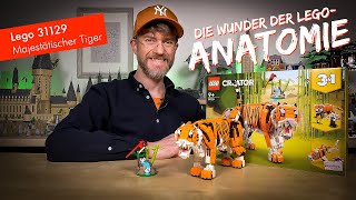 YouTube Thumbnail Expedition ins Tierreich: Lego Creator 3-in-1 31129 Majestätischer Tiger