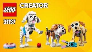 YouTube Thumbnail LEGO Creator Adorable Dogs (31137)[475 pcs] Beagle, Poodle, Labrador | Instructions @TopBrickBuilder