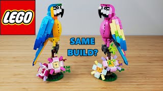 YouTube Thumbnail Exotic Pink Parrot #31144 | Review &amp; Comparison