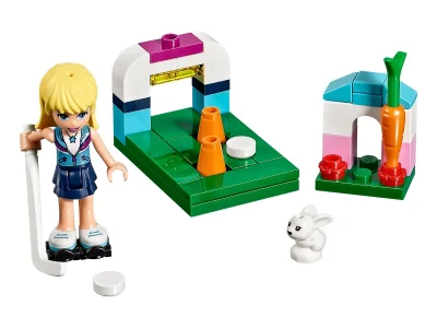 LEGO® Set 30405 - Stephanie's Hockey Practice