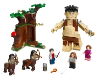 LEGO® Set 75967 - Der Verbotene Wald: Begegnung mit Umbridge