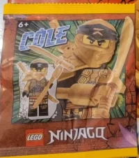 LEGO® Set 892295 - Golden Cole