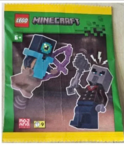 LEGO® Set L0002249 - Hero with Illager