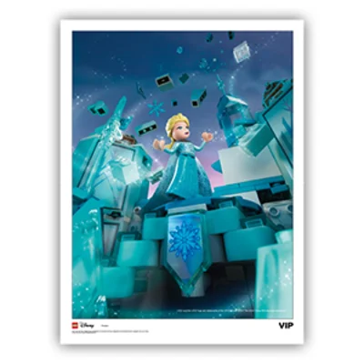 LEGO® Set 5007118 - Frozen Art Print