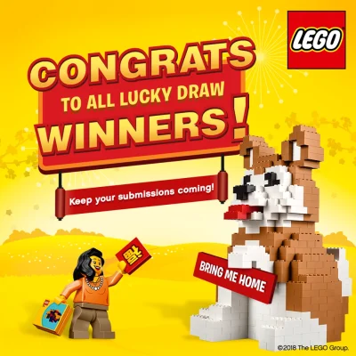 LEGO® Set 6238721 - Easy Build Building Happening Dog