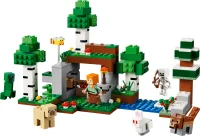 LEGO® Set 21593 - First Night Adventure