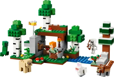 LEGO® Set 21593 - First Night Adventure