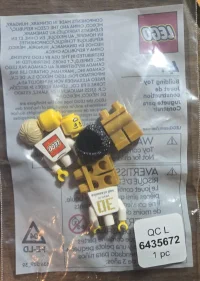 LEGO® Set 6435672 - LEGO Store 30th Anniversary Exclusive Set, Mall of America, Bloomington, MN