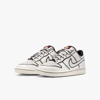 LEGO® Set 5009950 - Nike Dunk Low x LEGO Collection – Big Kids Shoes