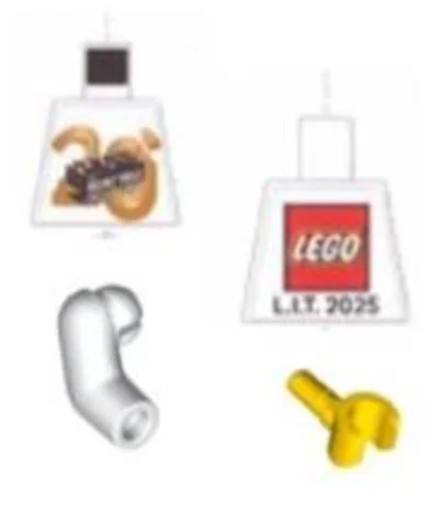 LEGO® Set 6597568 - The Inside Tour Torso