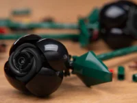 LEGO® Set EG00151 - Black Roses