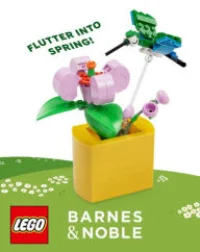 LEGO® Set 6641463 - Happy Hummingbird